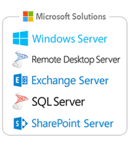 MS Logos